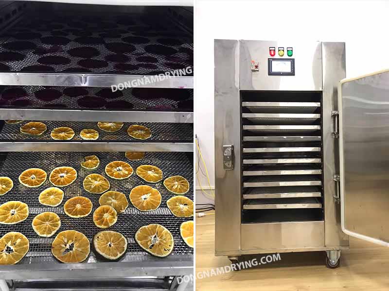 Máy sấy lạnh mini MSL-150