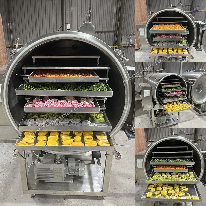 Máy sấy thăng hoa sấy thành phẩm chất lượng cao