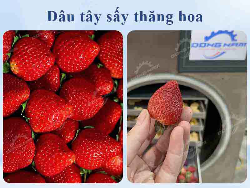 Dâu tây sấy thăng hoa