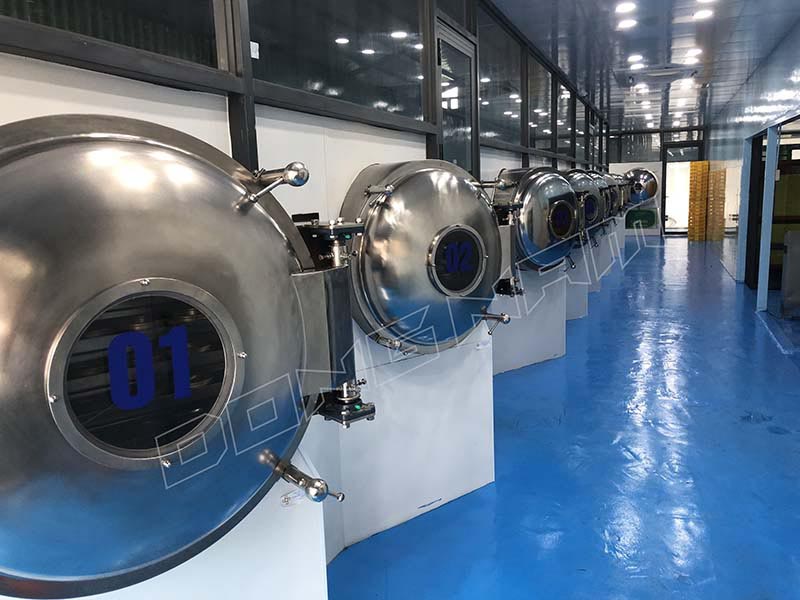 Dây chuyền 8 máy sấy thăng hoa công nghiệp Đông Nam