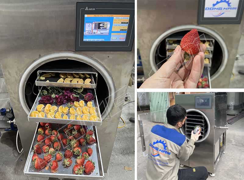 Máy sấy thăng hoa mini