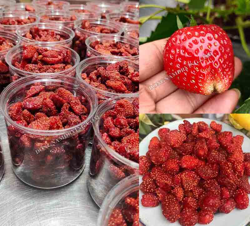 Máy sấy lạnh 250kg ứng dụng cao trong sản xuất hoa quả sấy