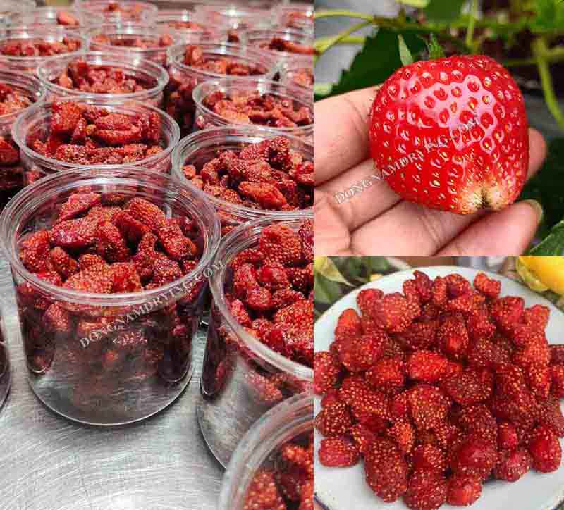 Hoa quả sấy lạnh