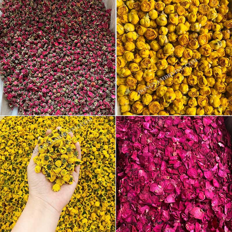 Máy sấy lạnh hoa khô màu đẹp, giữ trọn mùi hương