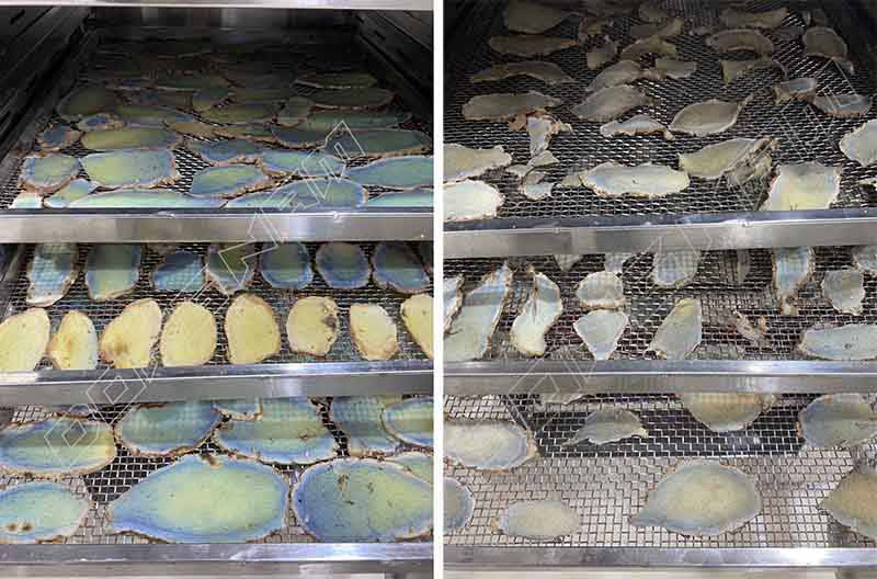 Dược liệu sấy lạnh giữ nguyên hoạt chất, tinh dầu