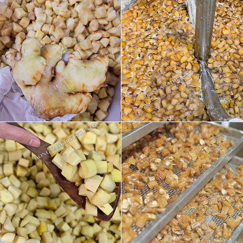 Khách hàng Đông Nam làm mứt gừng sấy dẻo bằng máy sấy lạnh