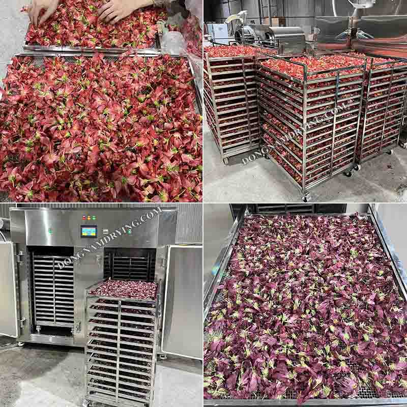 Máy sấy lạnh 100kg hoa tươi