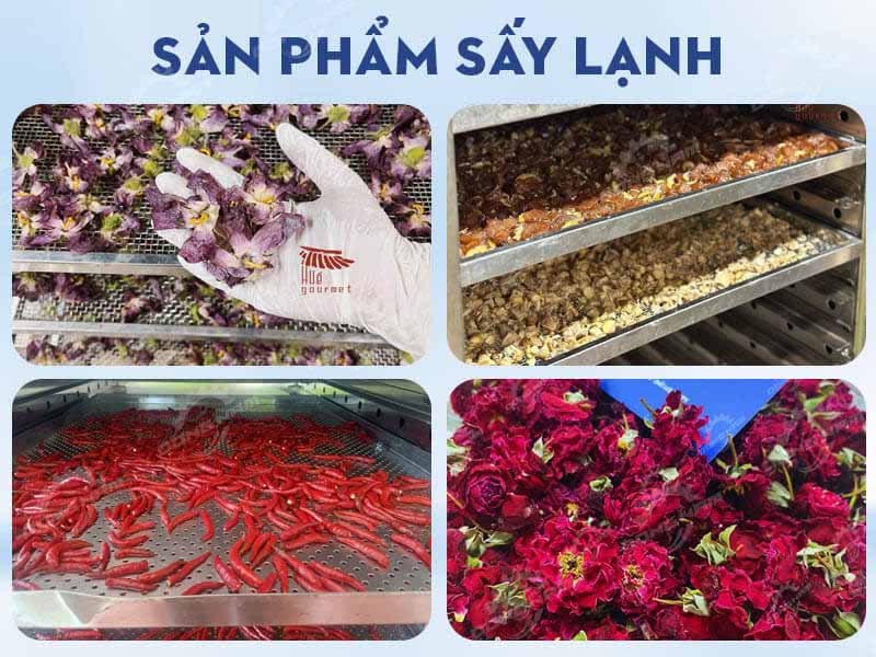 Sản phẩm sấy lạnh đạt chất lượng cao