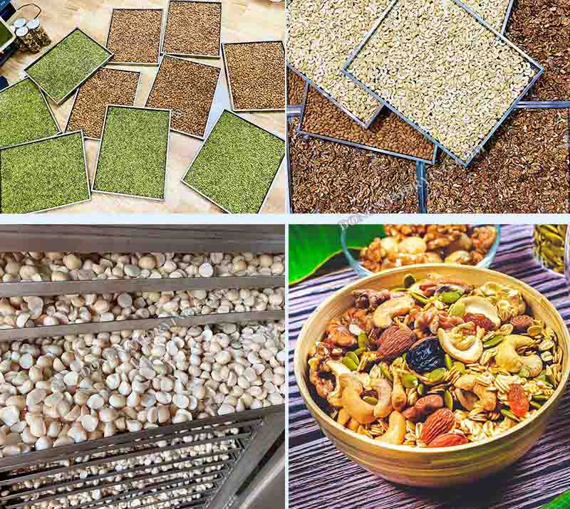 Hạt ngũ cốc sấy chín dễ dàng bằng máy sấy nhiệt