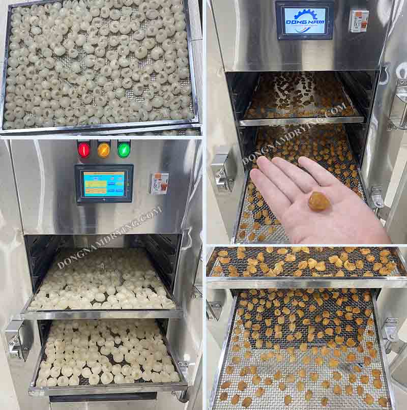 Máy sấy nhiệt sấy long nhãn lên màu sắc bắt mắt