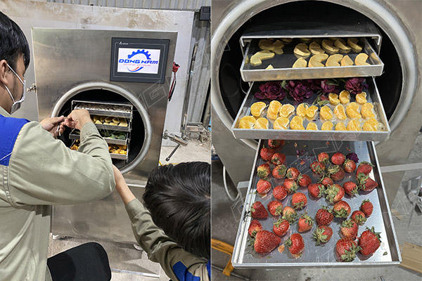 Máy sấy thăng hoa mini 5kg Đông Nam sản xuất