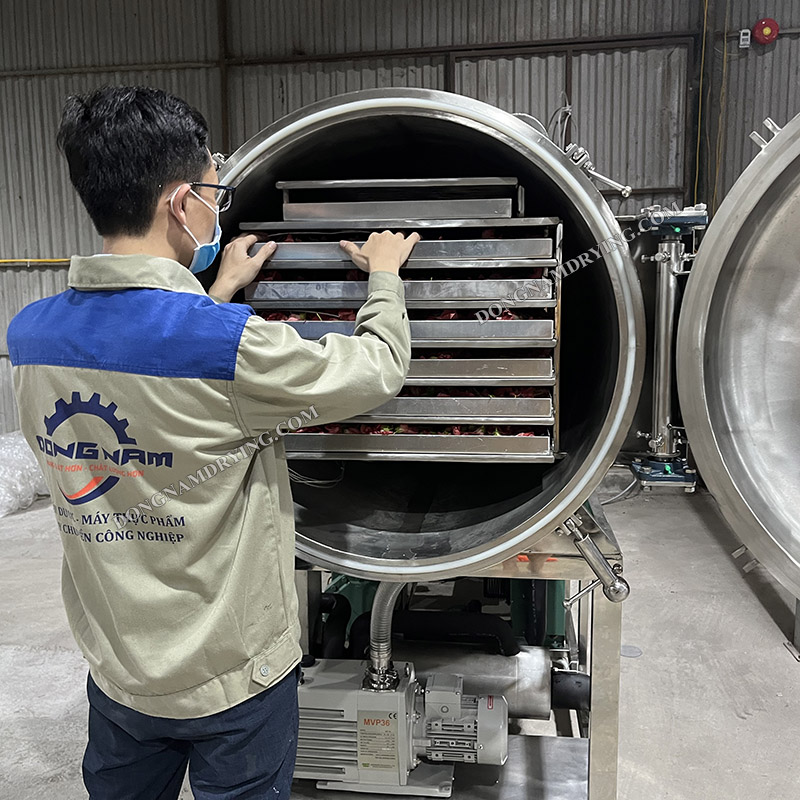 Máy sấy thăng hoa mini Đông Nam