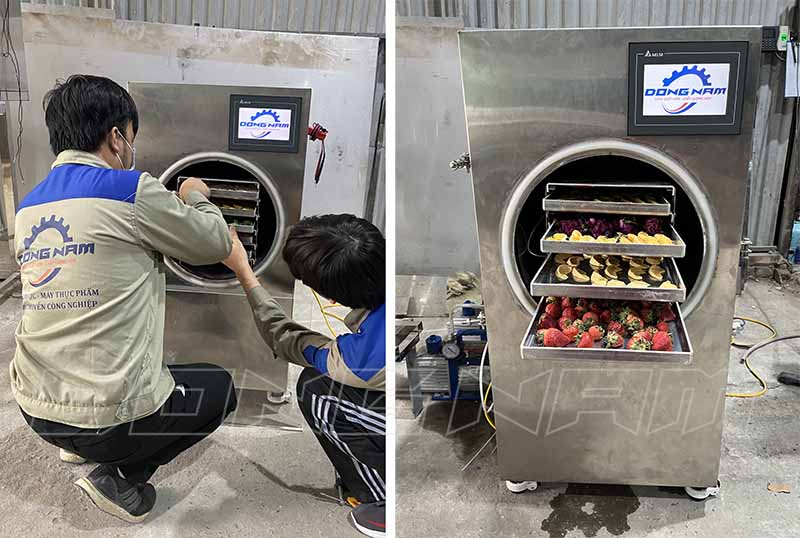 Máy sấy thăng hoa mini Đông Nam