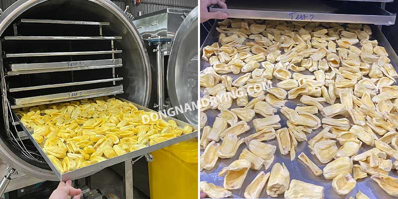 Mít sấy thăng hoa