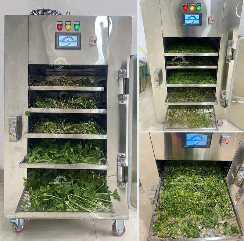 Máy sấy lạnh rau củ