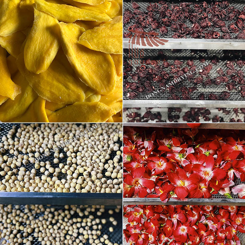 Ứng dụng máy sấy lạnh trong sản xuất thực phẩm sấy khô