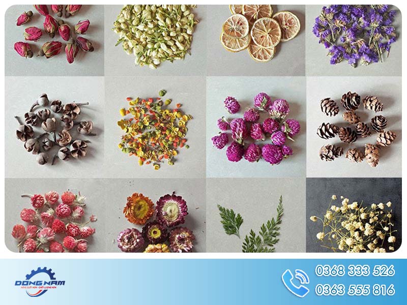 Dược liệu sấy lạnh