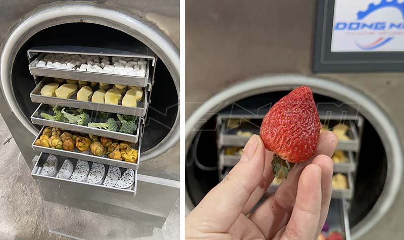 Sấy thăng hoa giữ nguyên hình dạng, màu sắc