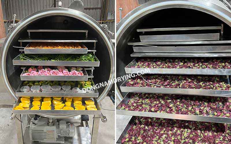 Máy sấy thăng hoa công nghiệp Đông Nam trực tiếp sản xuất