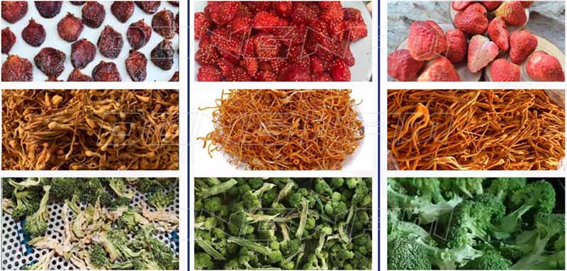 So sánh chất lượng giữa ba công nghệ sấy