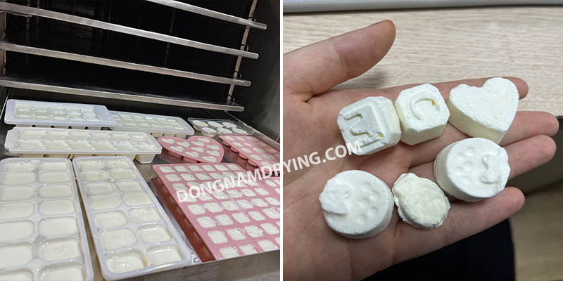 Sữa chua sấy thăng hoa