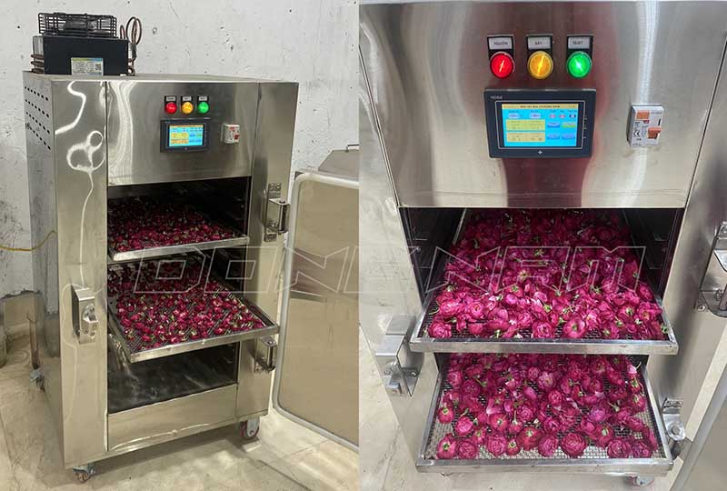 Hoa hồng sấy lạnh giữ màu sắc đẹp tươi sáng