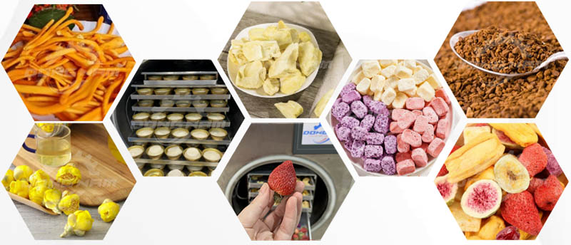 Các sản phẩm sấy thăng hoa nổi tiếng