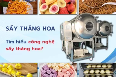 Máy sấy thăng hoa Đông Nam - Sấy khô giòn sản phẩm, giữ nguyên hình dạng, màu sắc, hương vị Máy sấy thăng hoa Đông Nam - Sấy khô giòn sản phẩm, giữ nguyên hình dạng, màu sắc, hương vị