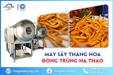Máy sấy thăng hoa đông trùng hạ thảo - Bảo quản đông trùng hạ thảo chất lượng cao Máy sấy thăng hoa đông trùng hạ thảo - Bảo quản đông trùng hạ thảo chất lượng cao