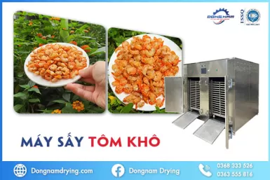 Máy sấy tôm khô - Quá trình sản xuất tôm khô trở nên dễ dàng Máy sấy tôm khô - Quá trình sản xuất tôm khô trở nên dễ dàng
