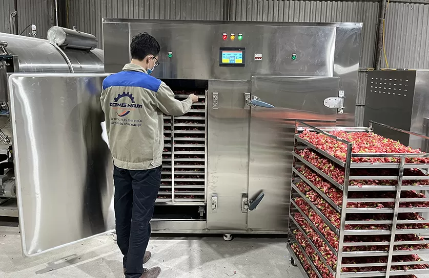 Máy sấy thực phẩm Máy sấy thực phẩm